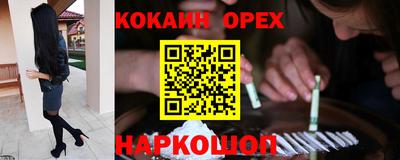 крисы Дубна