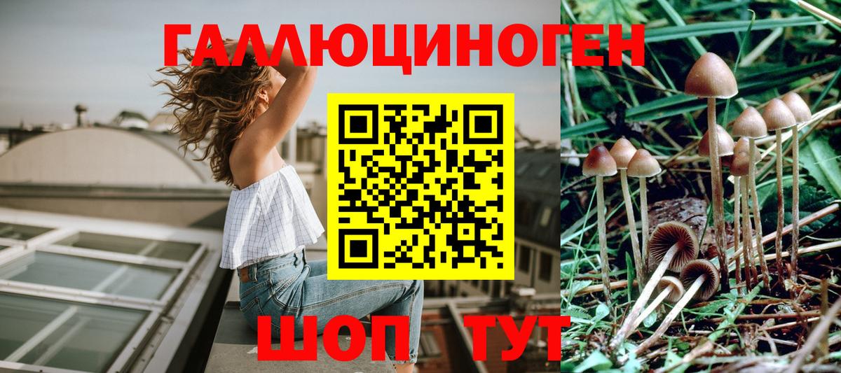 Псилоцибиновые грибы Magic Shrooms  Вход с VPN  Лабытнанги 